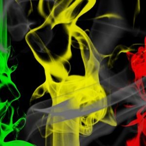 Meet your Posher, Allie